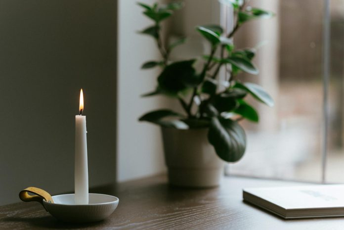 Burning candle near potted plant on table